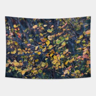 Little Autumn Leaves and Branches Tapestry