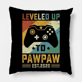 Vintage Leveled Up To Pawpaw Est.2020 Pillow