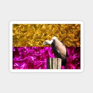 Vulture bicolor  III  / Swiss Artwork Photography Magnet