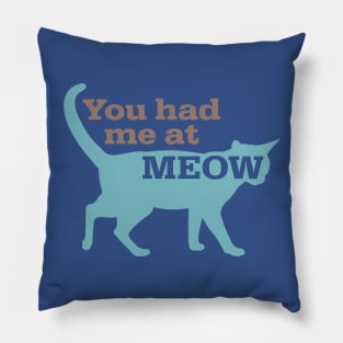 Had Me At Meow Pillow