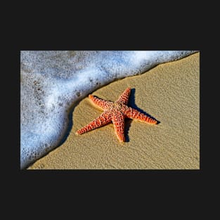 Sea Creature Starfish by the Surf T-Shirt