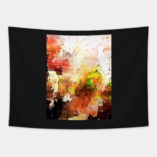 Meadow. Colorful Haze With Spots Abstract Art Expression Tapestry