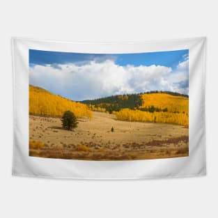 Kenosha Pass Study 7 Tapestry