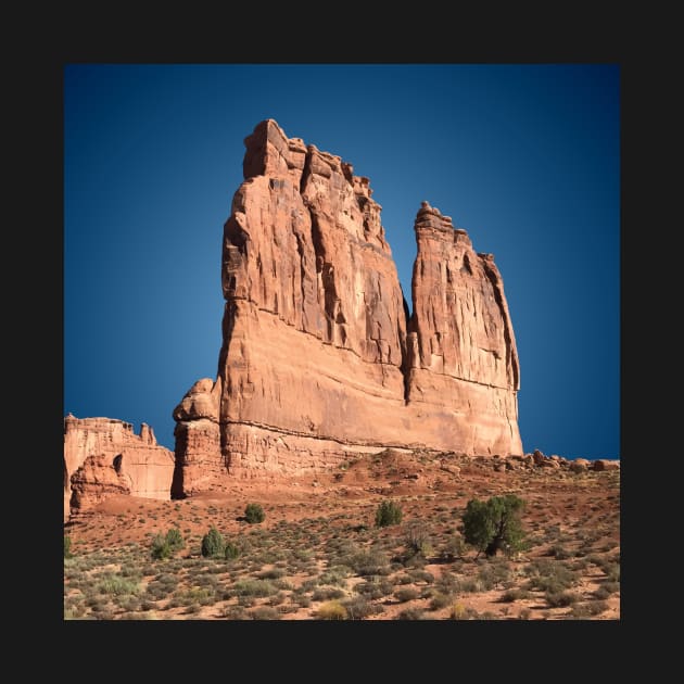 The Organ, Arches National Park, Utah by hobrath