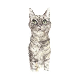 Tabby Cat T-Shirt