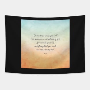 'Do You Know What You Are?' Beautiful Quote by Rumi Tapestry