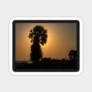 Palm Tree Silhouette Magnet