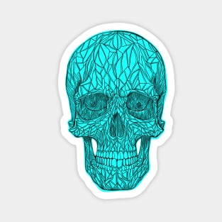 Teal skull Magnet