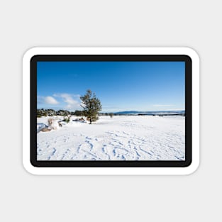 Snowy landscape. Magnet