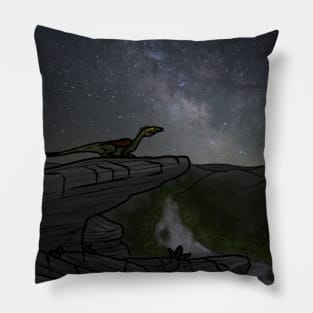 Stargazing Pillow