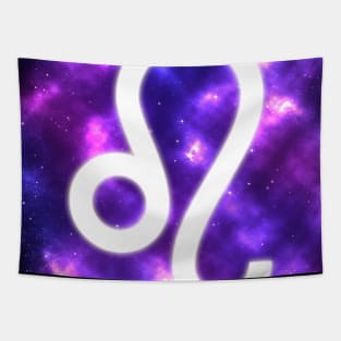 Leo Zodiac Sign Stars Night Tapestry