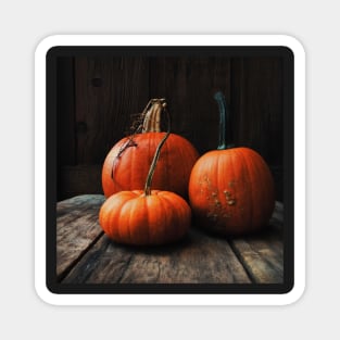 Three Pumpkins Magnet