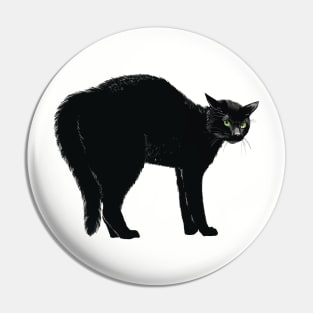 Black Cat Arch Pin