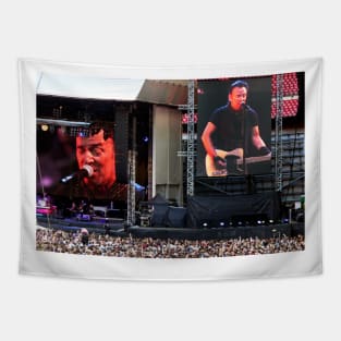 Bruce Springsteen Live At Wembley Stadium Tapestry