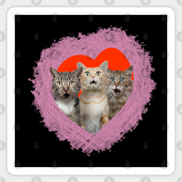 Cats Lovers Birthday Gift Ideas Shirt Cat Lovers Clothing