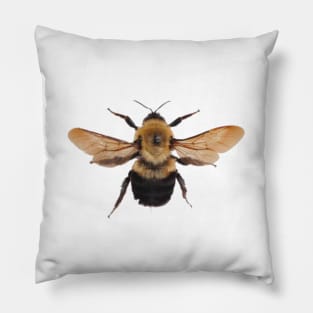 Abeja Pillow