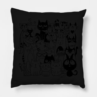 All in one cats Pillow