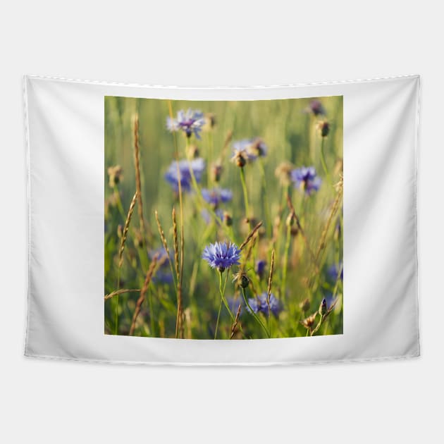 Cornflower Tapestry by ansaharju