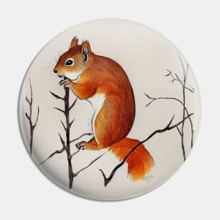 Siberian Red Squirrel in Winter Pin