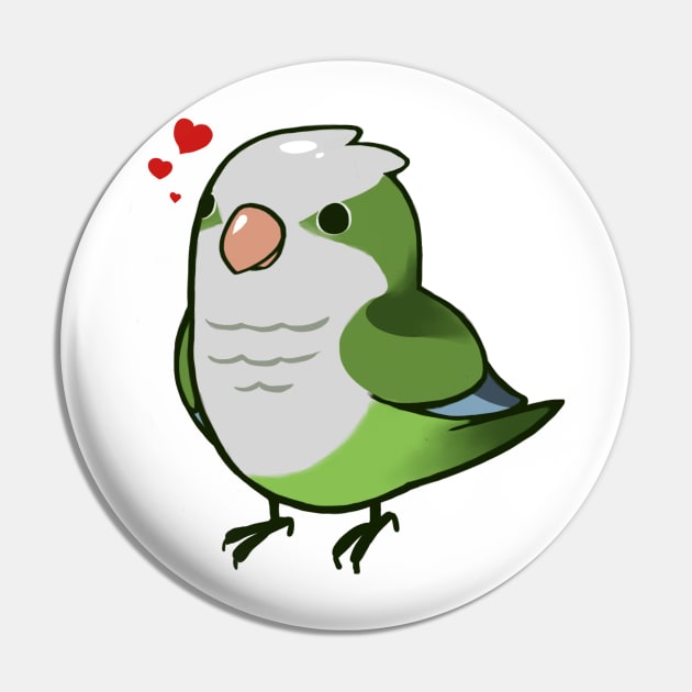 Quaker Parrot 1 Pin by Shemii