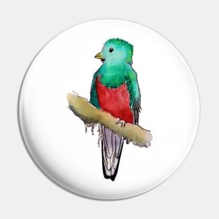 Quetzal in Ink Pin