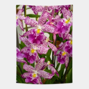 Purple Leopard Orchids Tapestry