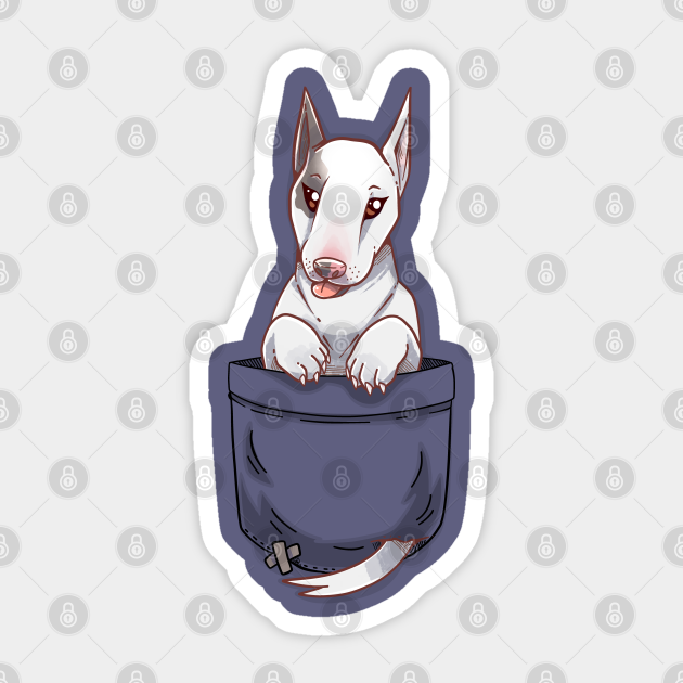pocket bull terrier