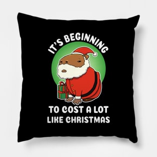 It's begining to cost a lot like Christmas Capybara Christmas Pillow