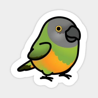 Chubby Senegal Parrot Magnet