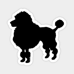 black poodle art Magnet