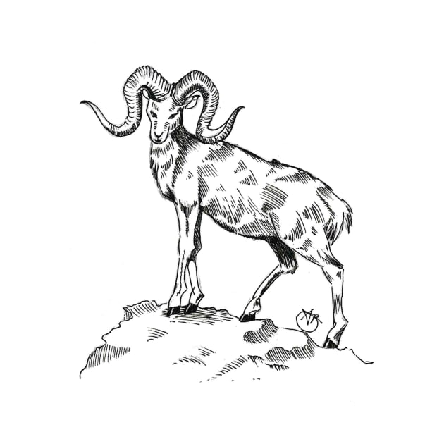 Large horned Goat by angipangi7