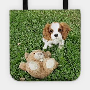 cavalier king charles spaniel blenheim puppy with toy Tote