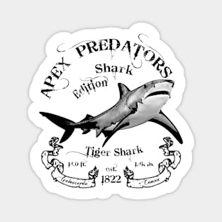 Apex Predators - Shark Edition - Tiger Shark Magnet