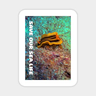 Save Our Sea Life Magnet