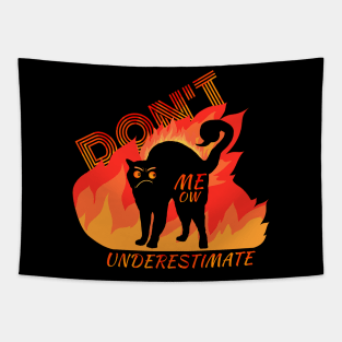 Angry Black Cat with Flames Design Tapestry