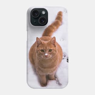 Ginger Kitten in Snow Phone Case