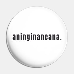 Dundonian Saying aninginaneana. Pin