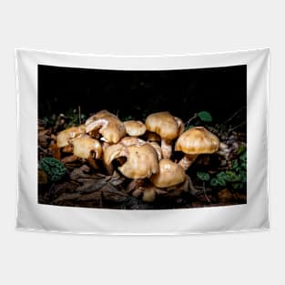 Autumnal Fungi at Night Tapestry