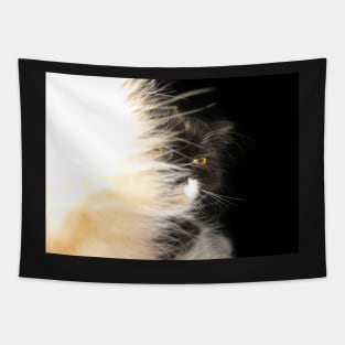 Fluffy Calico Cat Tapestry