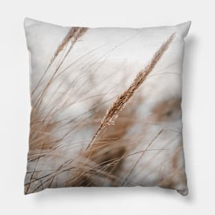 Beach grass in the winter, snow in background Pillow