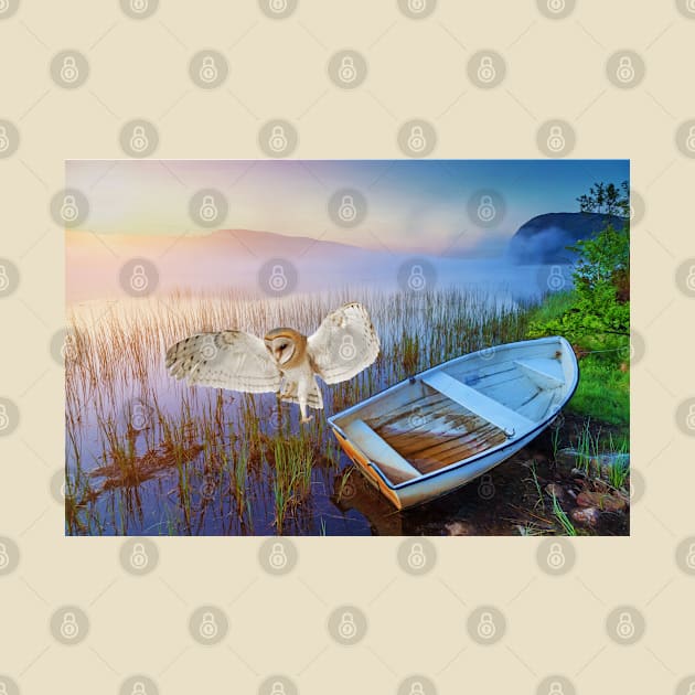 Barn Owl and Boat by lauradyoung