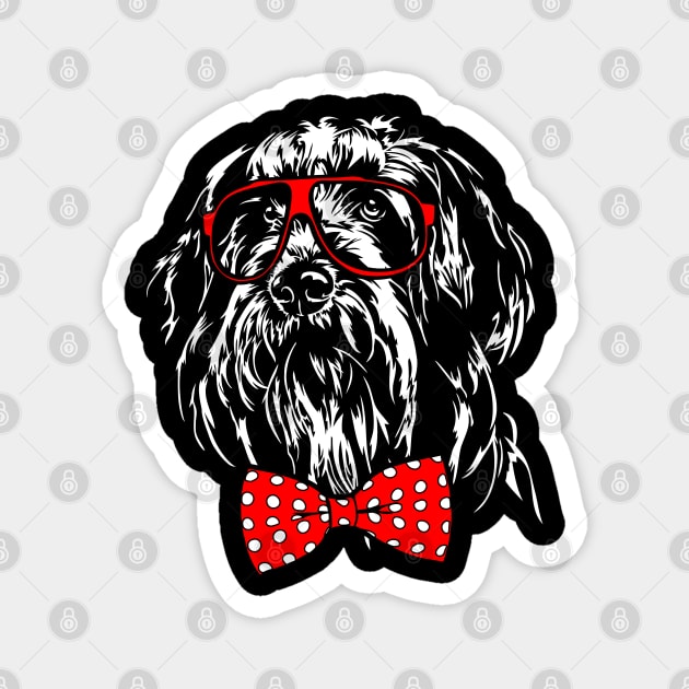 Funny Cute Bearded Collie dog mom Magnet by wilsigns