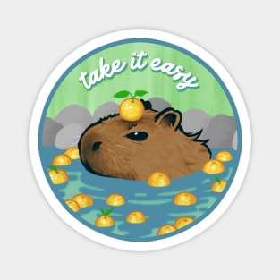 Chill Capybara (circle design) Magnet