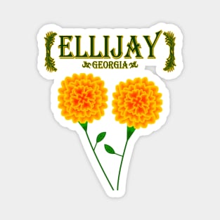 Ellijay Georgia Magnet