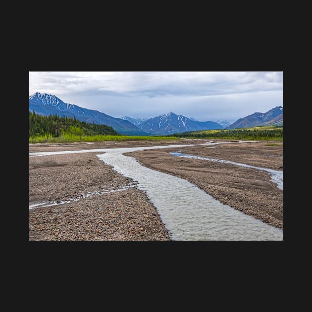 Denali Riverbed by andykazie