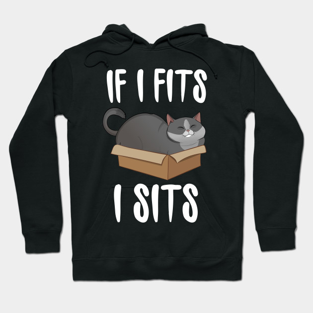 If I Fits I Sits Cat In A Box Funny Cat Hoodie Teepublic