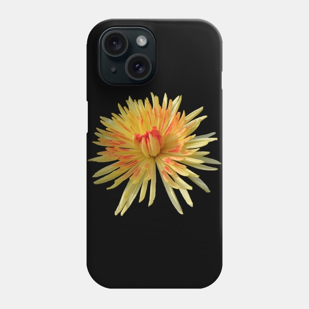 chrysanthemum, yellow flower, nature, flowers,bloom Phone Case by rh_naturestyles