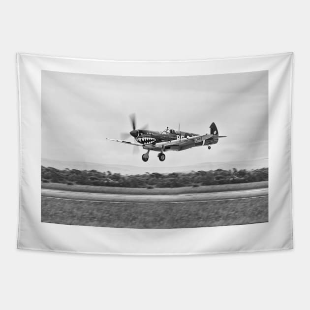 Curtiss P-40 Warhawk Fighter Air Plane Tapestry by Design A Studios