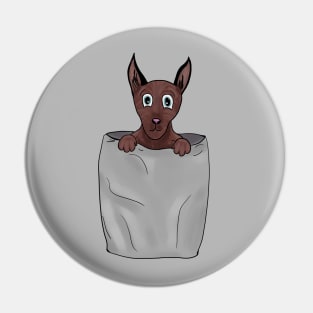 Dog in pocket Pin