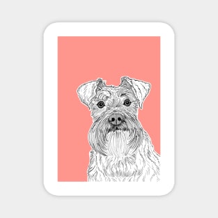 Schnauzer Dog Portrait ( coral background ) Magnet